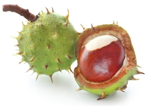 Varicone contains horse chestnut. 