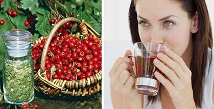 Popular remedies for varicose veins on the legs